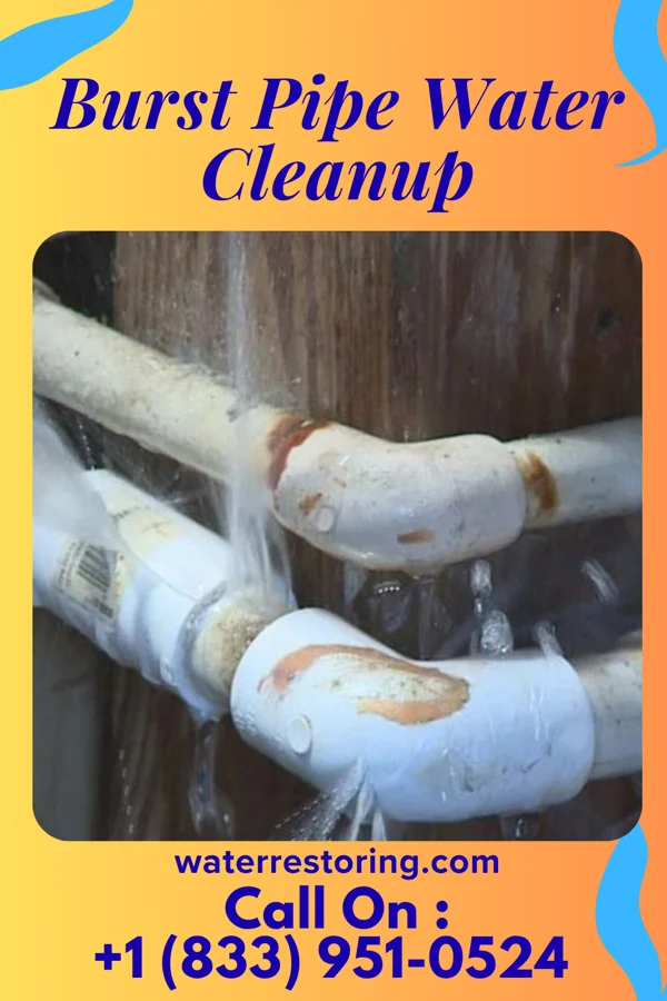 Burst Pipe Water Cleanup in Springhill, LA