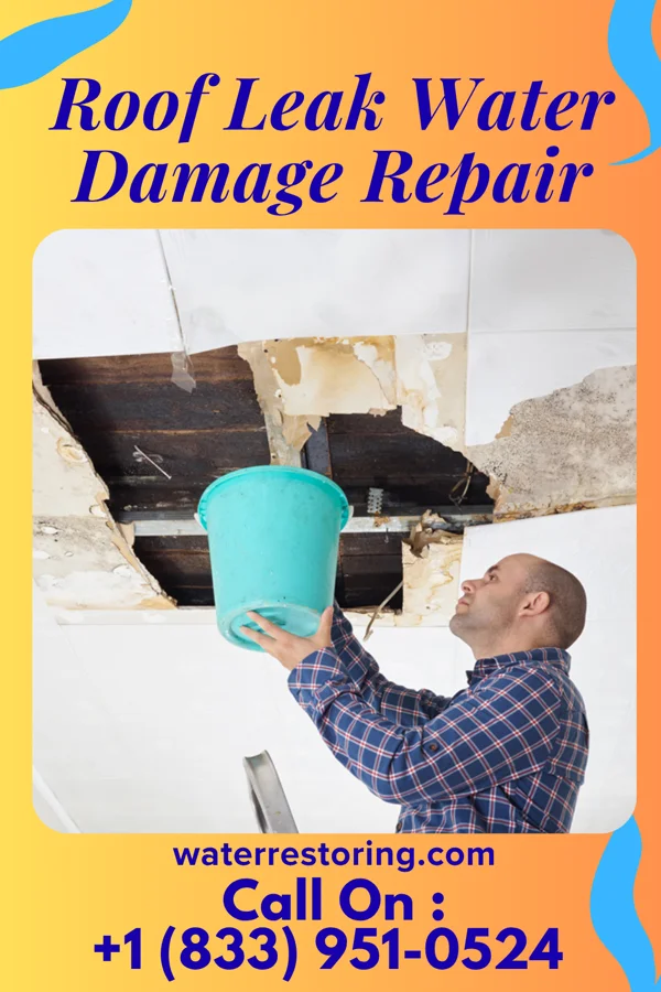 Roof Leak Water Damage Repair in Springhill, LA