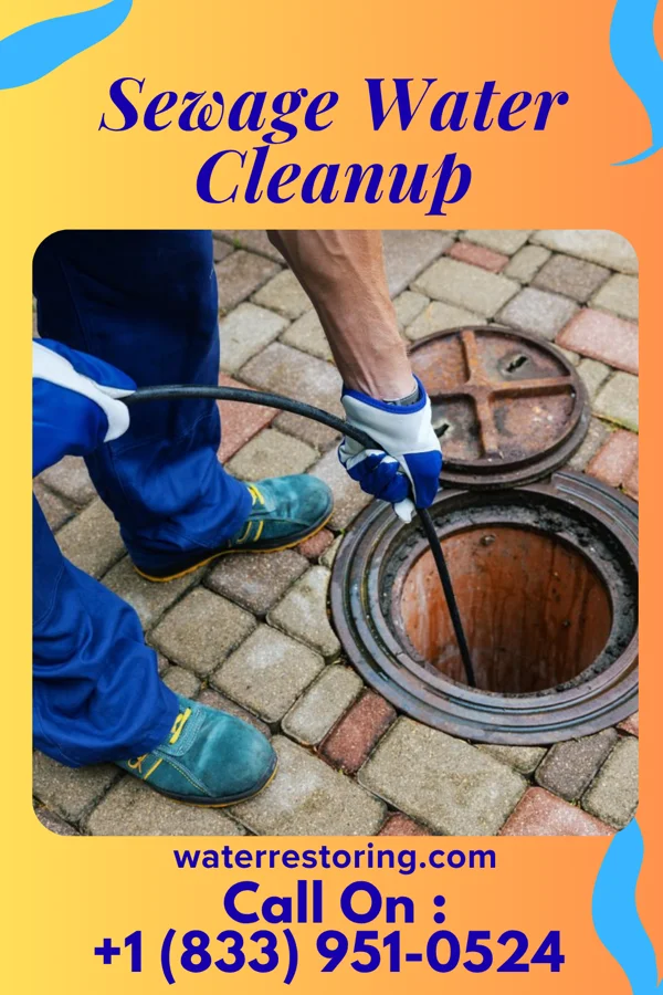 Sewage Water Cleanup in Springhill, LA